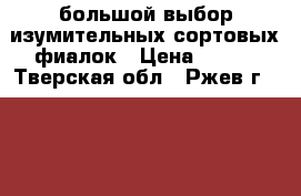 большой выбор изумительных сортовых фиалок › Цена ­ 100 - Тверская обл., Ржев г.  »    